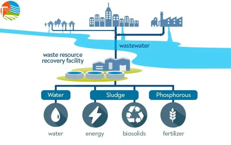 Wiss: Pioneering the Future of Innovative Water Treatments